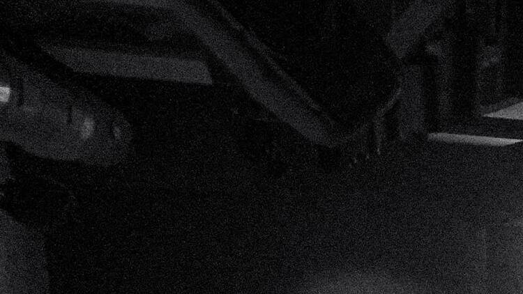 STUDIO CROSSFIT / VIIBRA