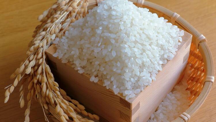 Rice