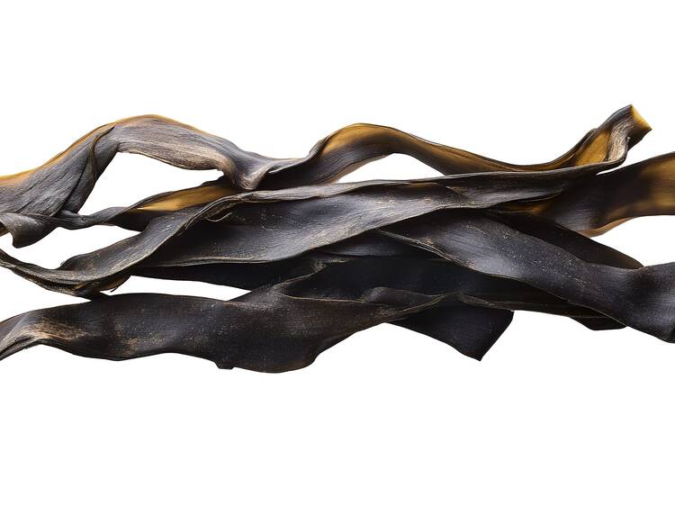 Kombu