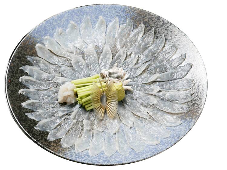 Fish
