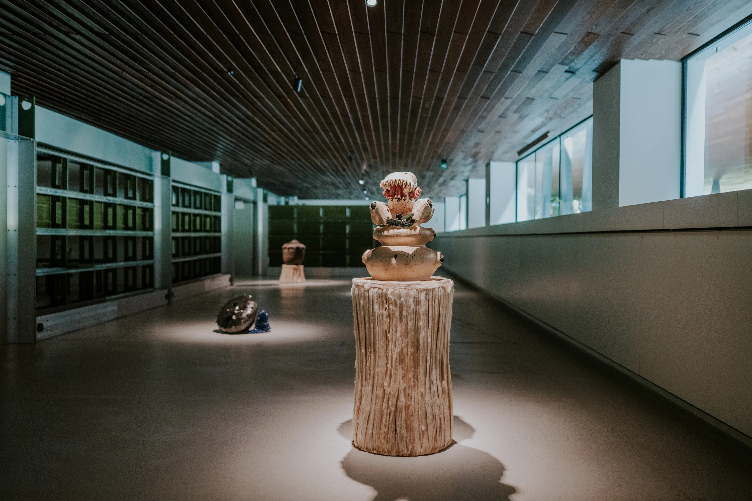 "Baile dos Bugalhos", CAM