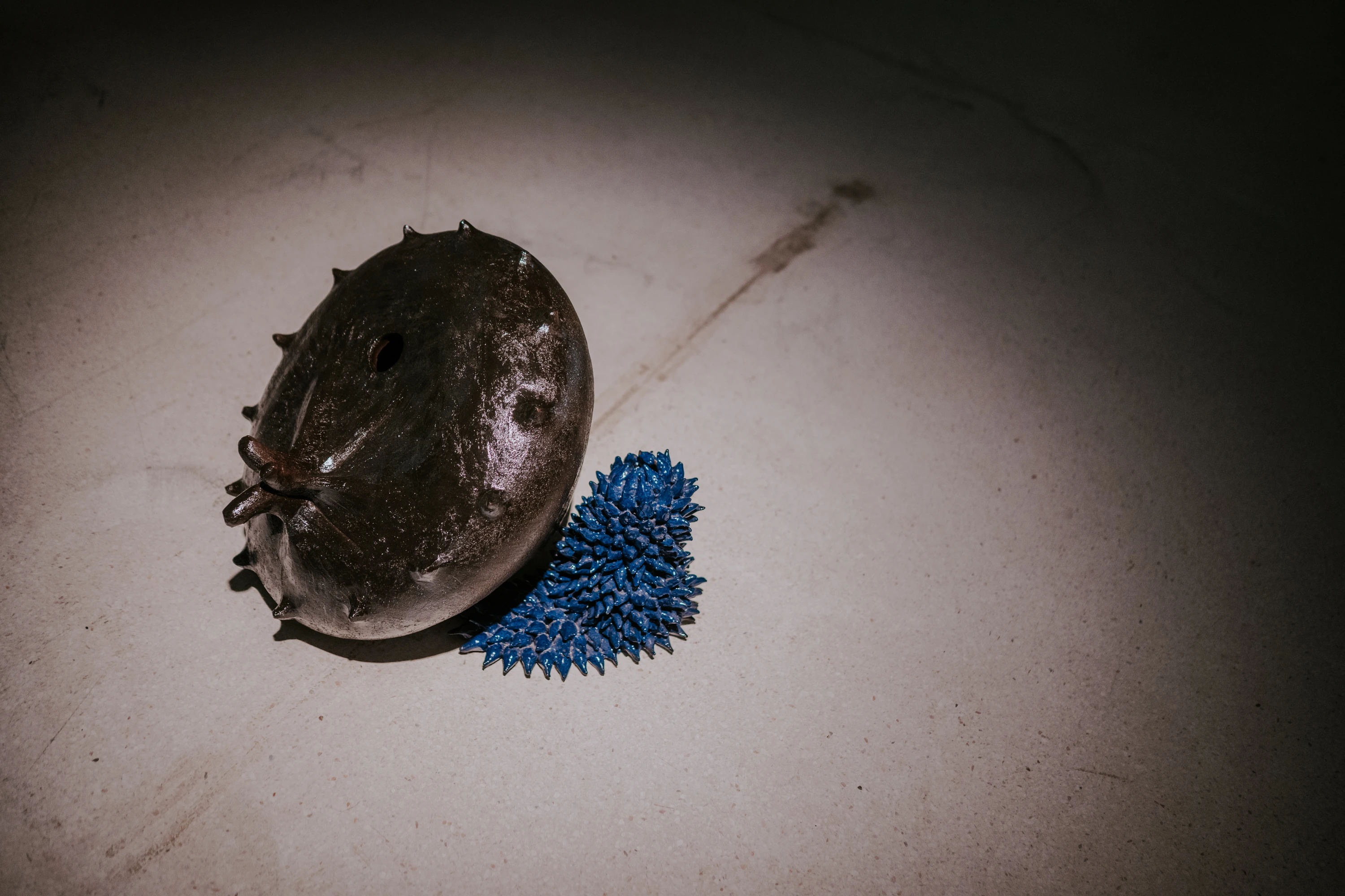 "Baile dos Bugalhos", CAM