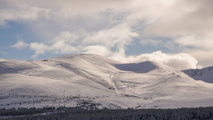 Cairngorms in Scotland