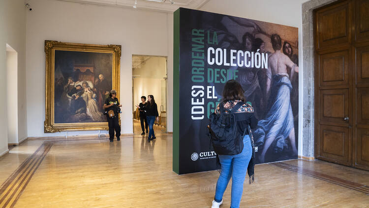 (Des)ordenar la colección desde el género Museo Nacional de San Carlos 