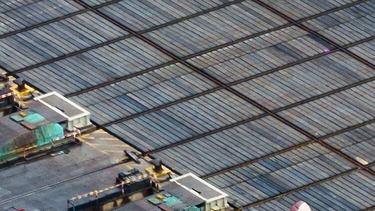 維港海上大巡遊2025