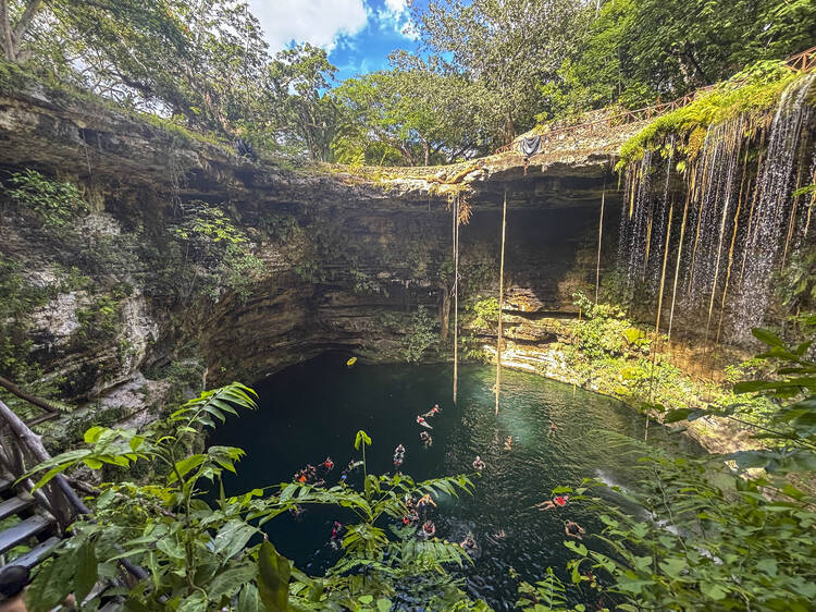 Hacienda Selva Maya Hacienda Selva Maya