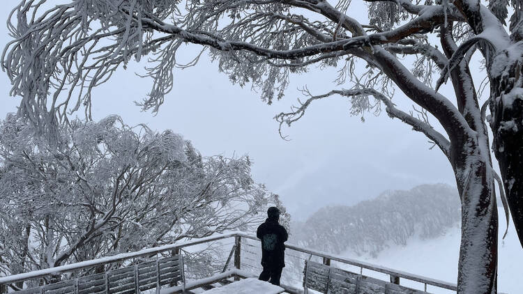 A person standing on a snow-covered outdoor deck.