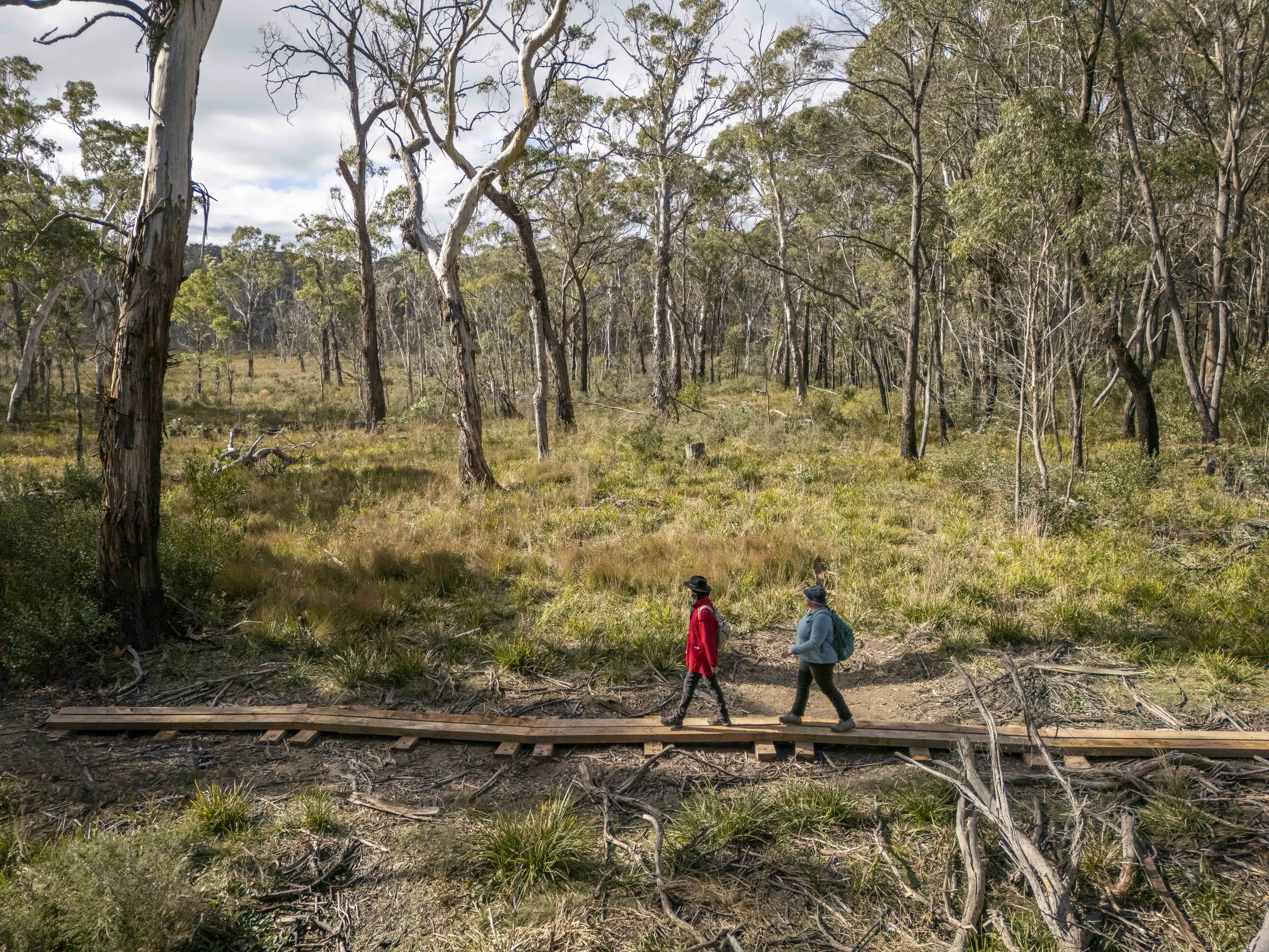A bush walk in Gardens of Stone