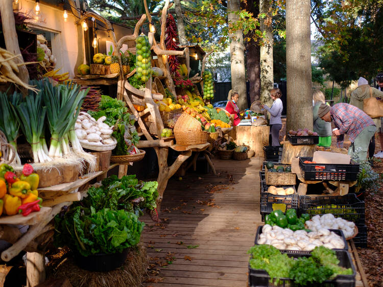 InSeason Mobile Market