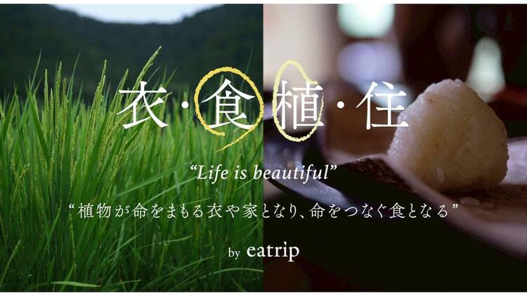 Life is beautiful : 衣・食植・住 “植物が命をまもる衣や家となり、命をつなぐ食となる” by eatrip Life is beautiful : 衣・食植・住 “植物が命をまもる衣や家となり、命をつなぐ食となる” by eatrip