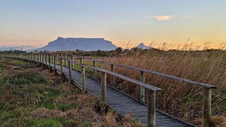 Rietvlei Nature Reserve, Cape Town