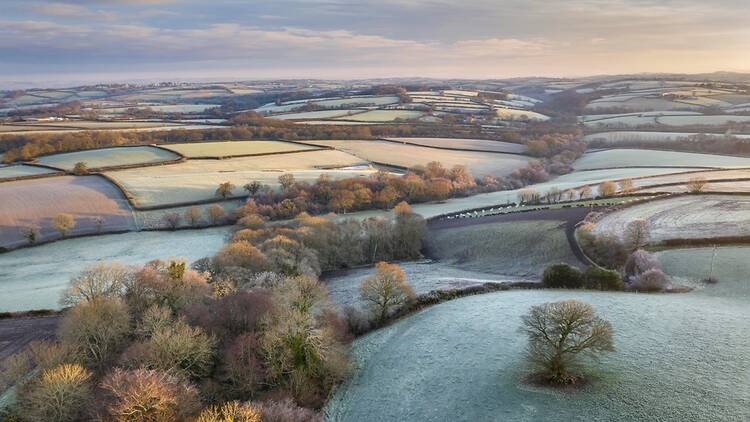 Frost on fields in Devon, England