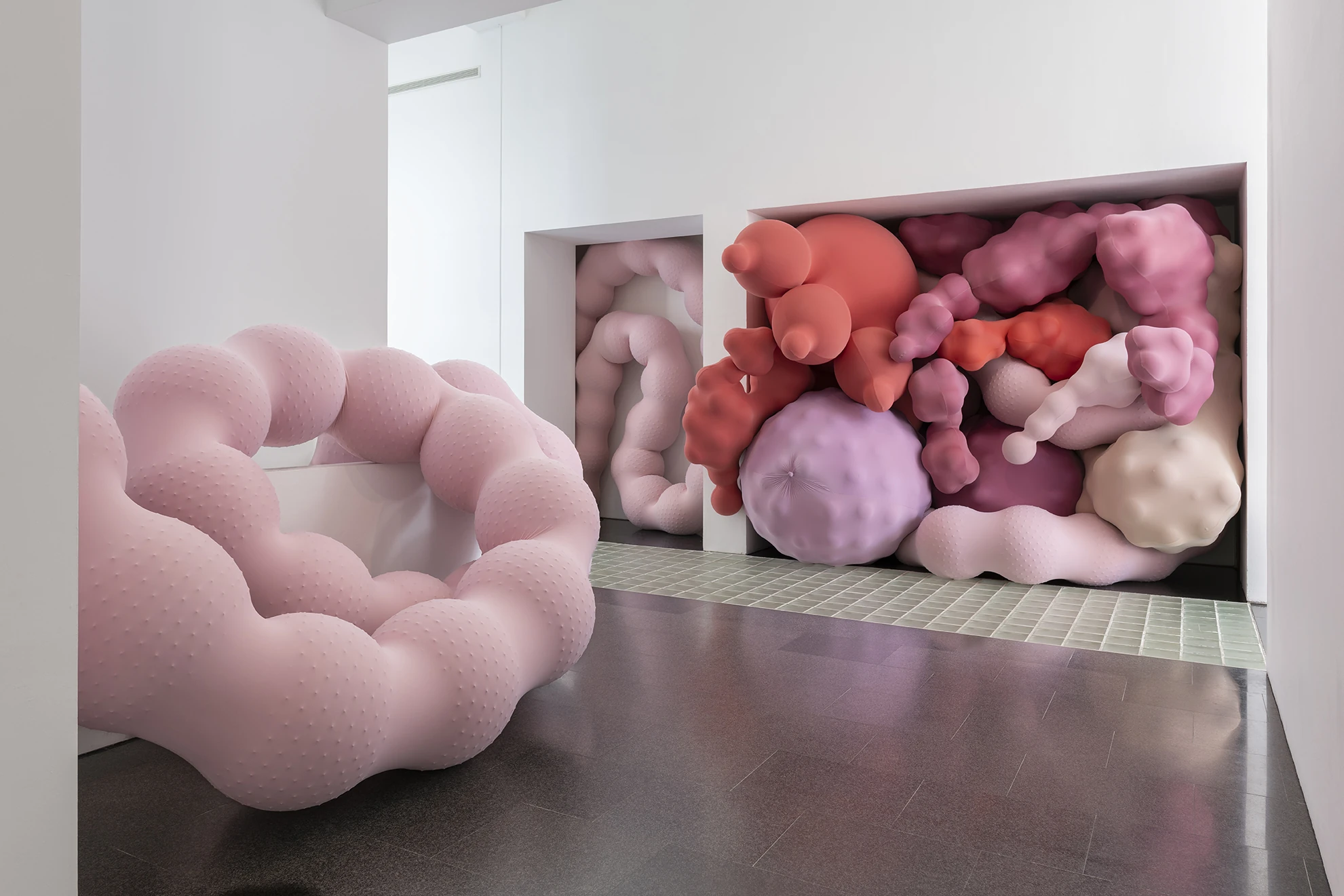 Eva F&agrave;bregas al MACBA