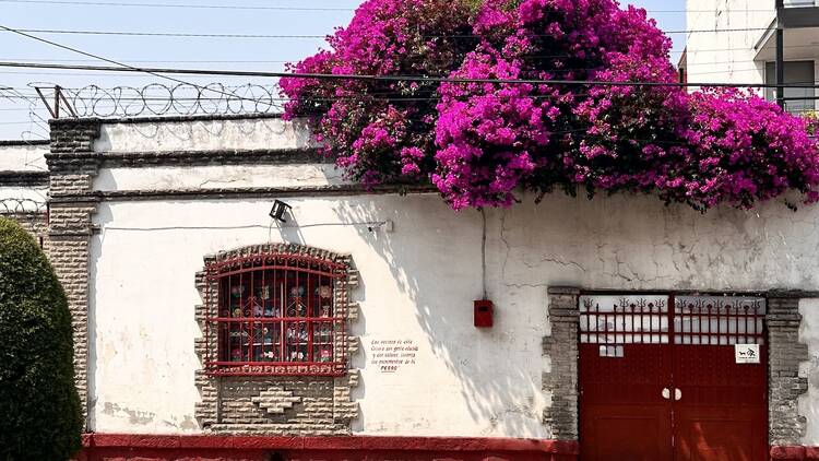 Portales, Mexico City