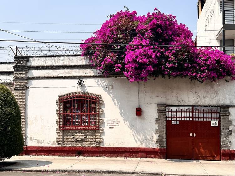 Portales, Mexico City