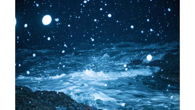 ジャム・セッション 石橋財団コレクション×山城知佳子×志賀理江子 漂着 ジャム・セッション 石橋財団コレクション×山城知佳子×志賀理江子 漂着