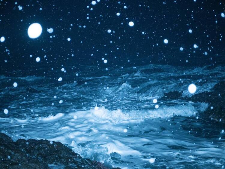 ジャム・セッション 石橋財団コレクション×山城知佳子×志賀理江子 漂着 ジャム・セッション 石橋財団コレクション×山城知佳子×志賀理江子 漂着