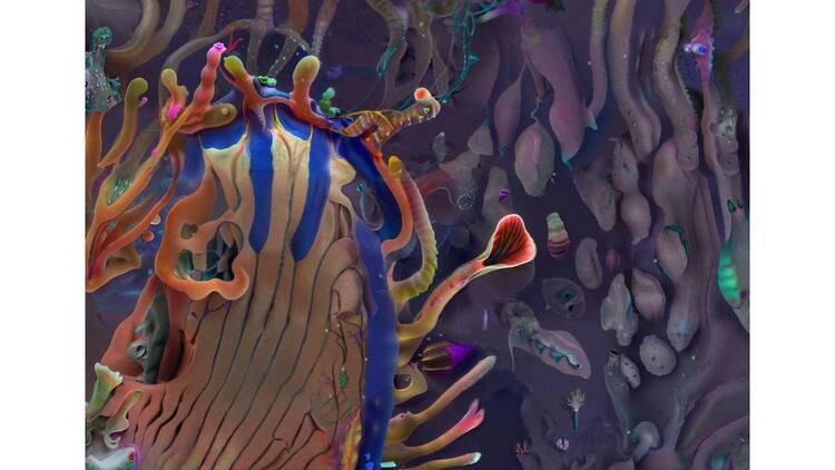 Synthetic Natures もつれあう世界:AIと生命の現在地 ソフィア クレスポ / エンタングルド アザーズ Synthetic Natures もつれあう世界:AIと生命の現在地 ソフィア クレスポ / エンタングルド アザーズ