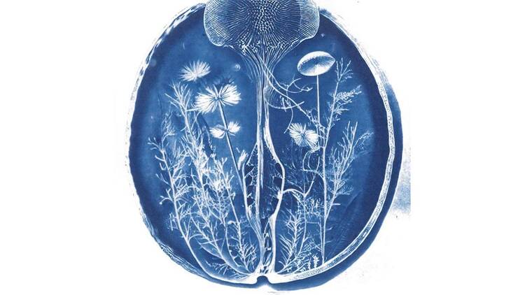 Synthetic Natures もつれあう世界：AIと生命の現在地 ソフィア クレスポ / エンタングルド アザーズ