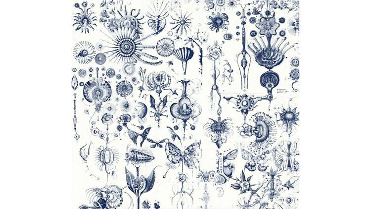 Synthetic Natures もつれあう世界：AIと生命の現在地 ソフィア クレスポ / エンタングルド アザーズ