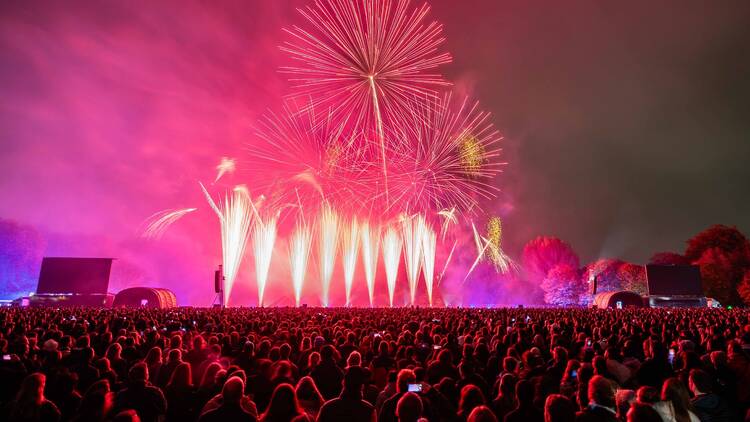 Battersea Park Fireworks