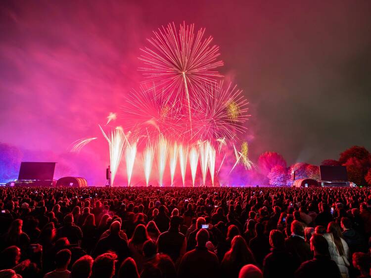 Battersea Park Fireworks