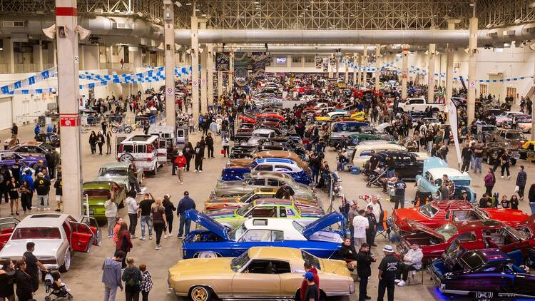 A fleet of cars are exhibited at Slow & Low: Chicago Lowrider Festival.