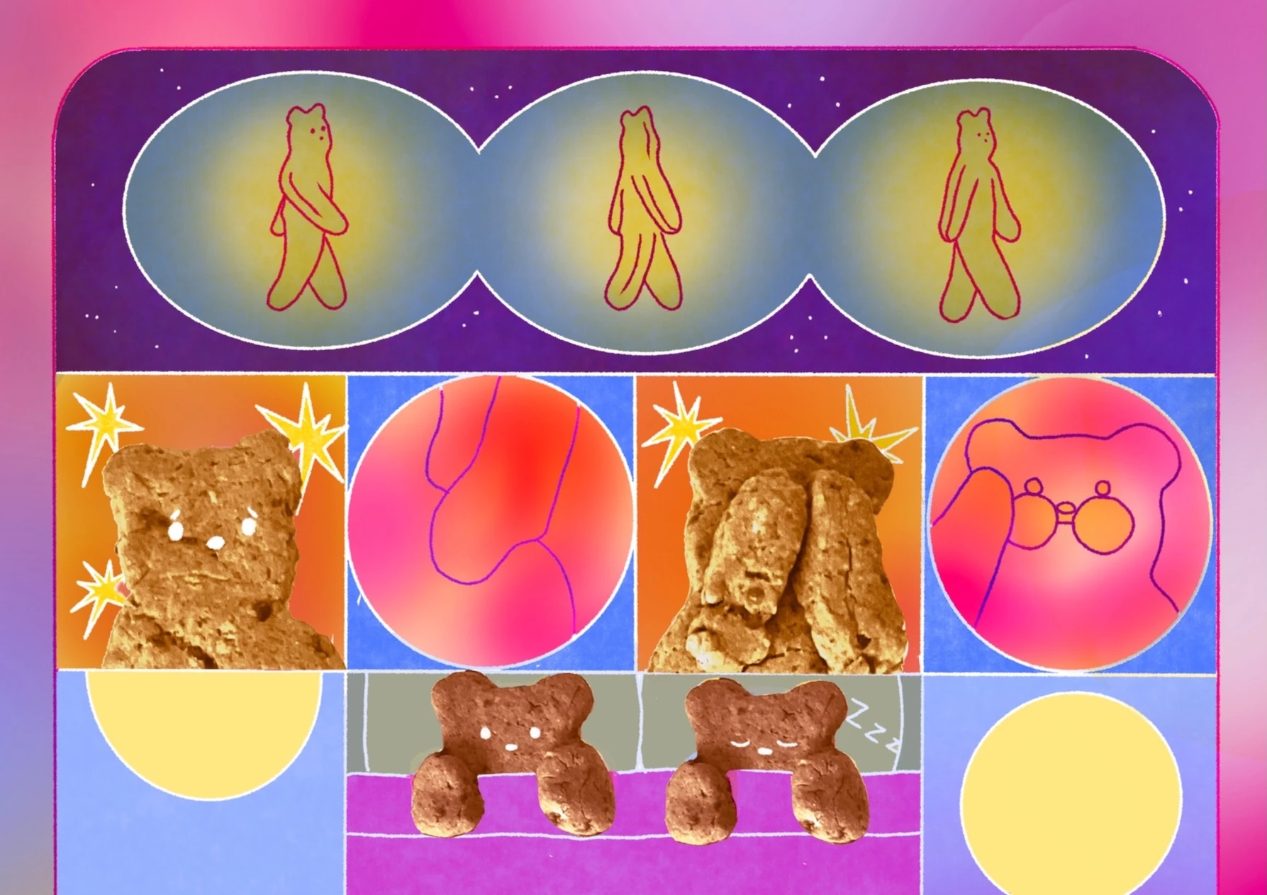 'Vida Galleta', de Cristina Moreno.