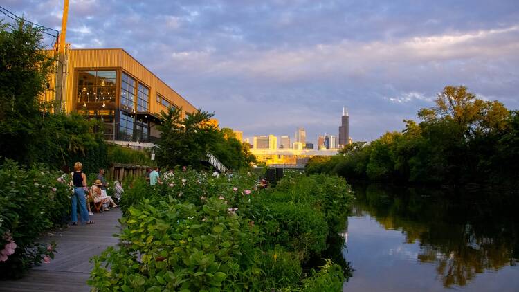 Visitors admire the water and greenery at the Wild Mile.