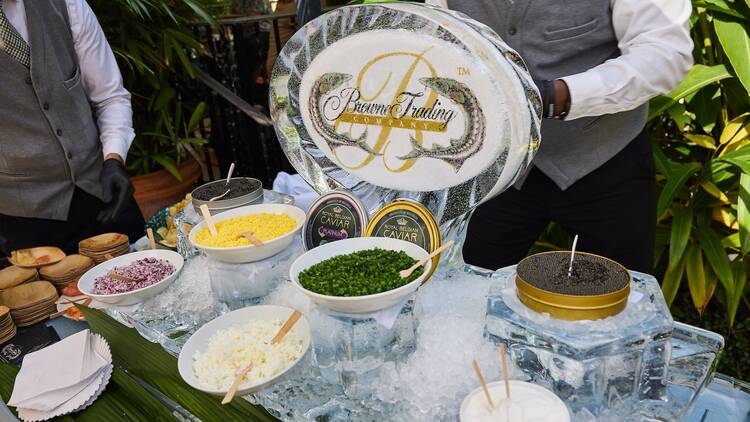 Palm Beach Food & Wine Festival