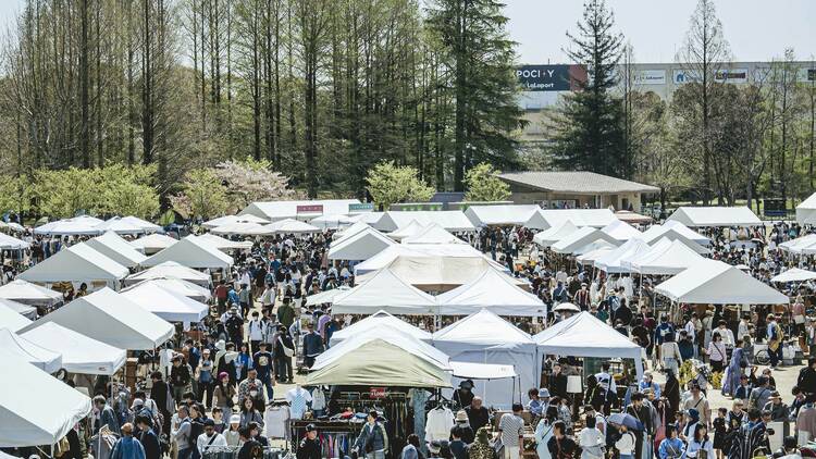 Expo Vintage Market
