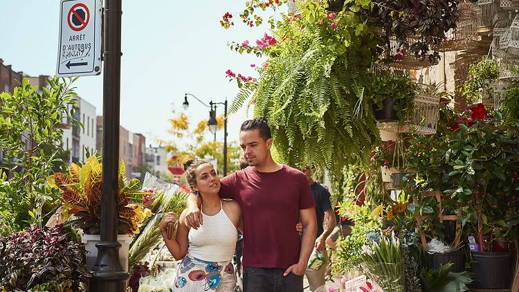 50 best things to do in Montreal for locals and tourists 50 best things to do in Montreal for locals and tourists