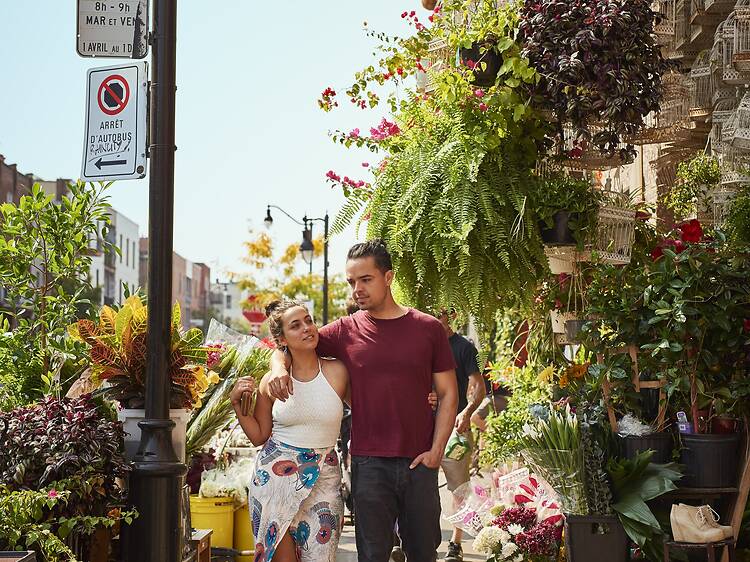 50 best things to do in Montreal for locals and tourists 50 best things to do in Montreal for locals and tourists