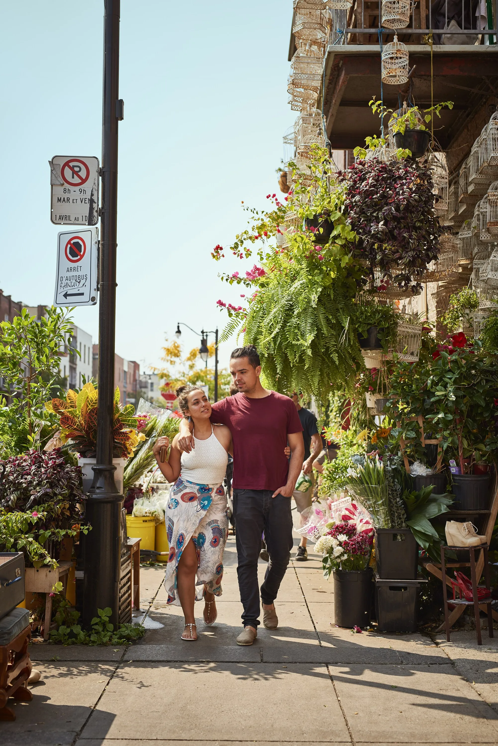 Plateau-Mont-Royal