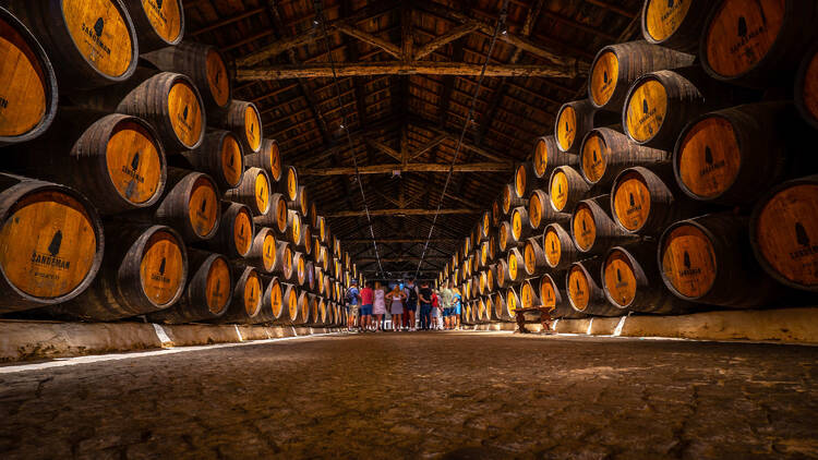 the Sandeman vinery and showroom and vine cellar