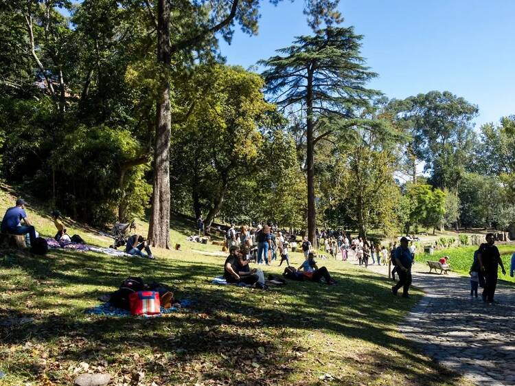 As melhores coisas para fazer no Porto este fim-de-semana