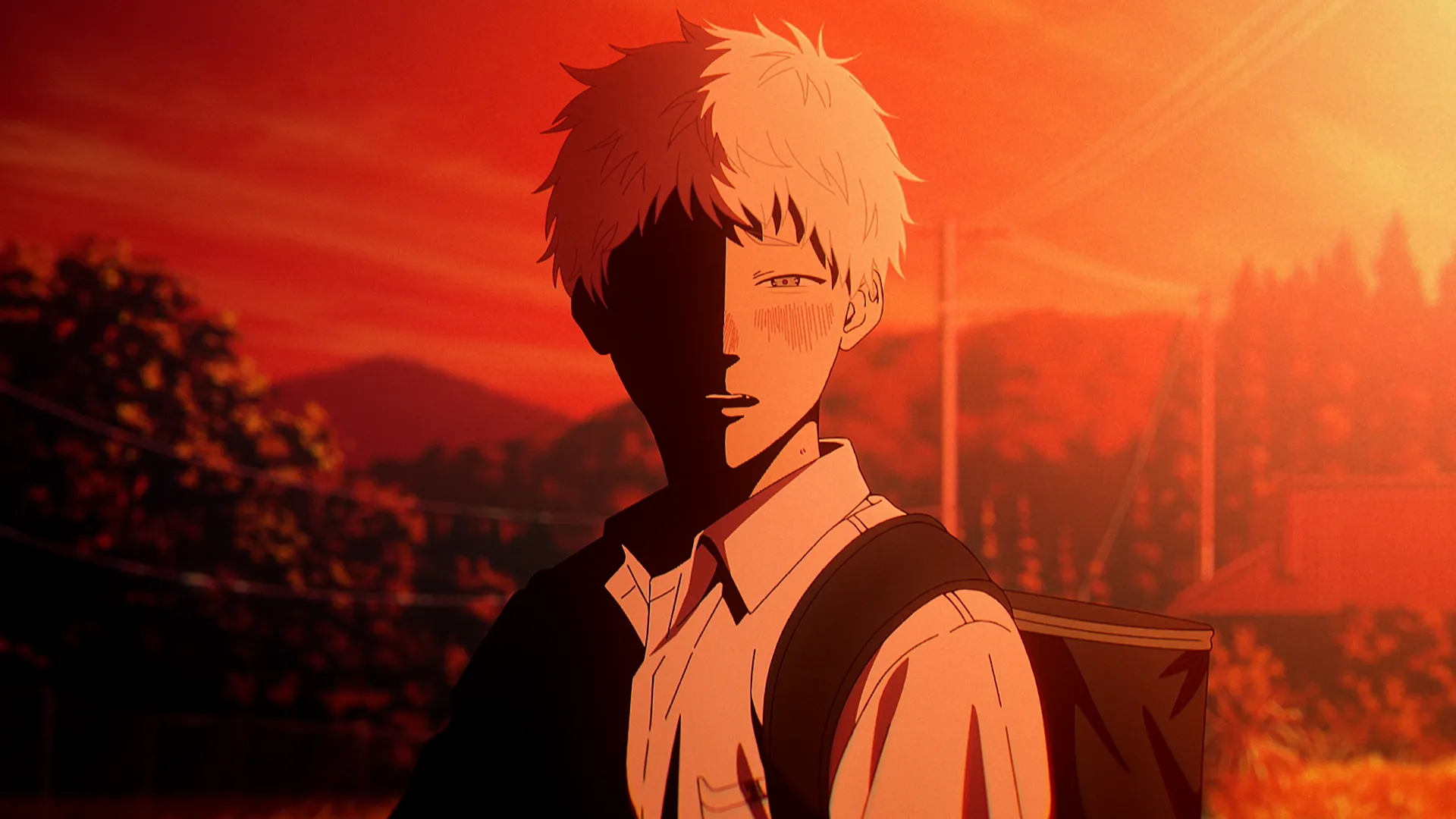 The Summer Hikaru Died image
