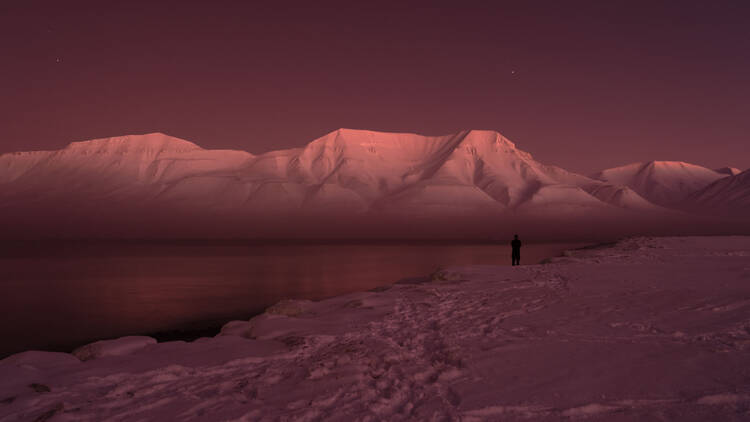 KOS. Entre la oscuridad, la alienación y el frío