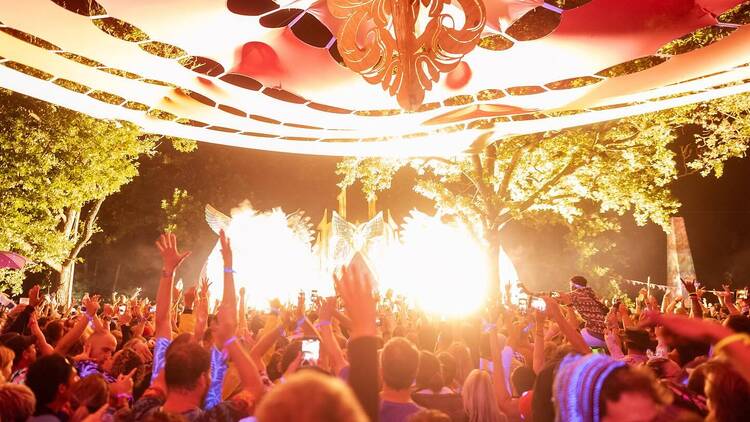 Alien Safari: Little Forest Festival