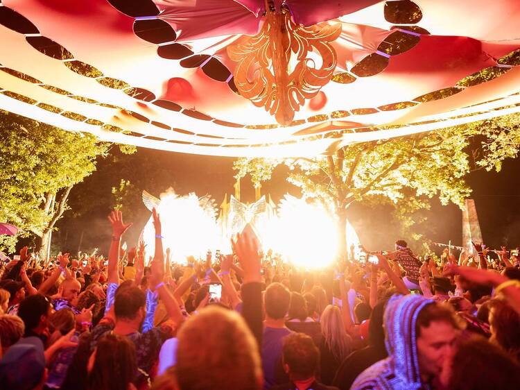 Alien Safari: Little Forest Festival
