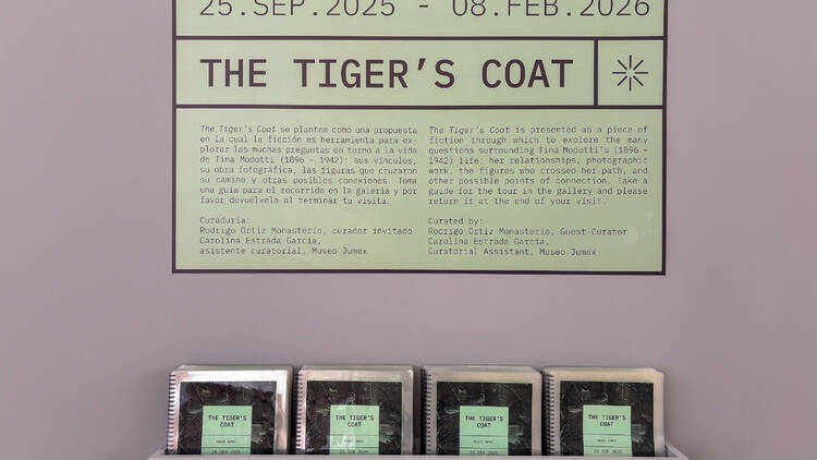 Tina Modotti The Tiger's Coat Museo Jumex