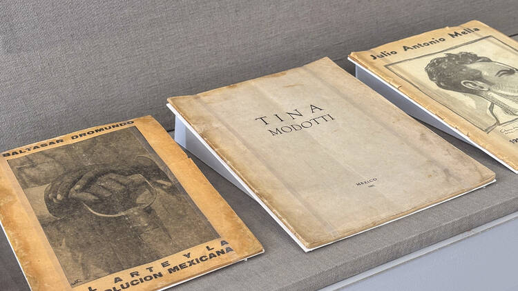 Tina Modotti The Tiger's Coat Museo Jumex