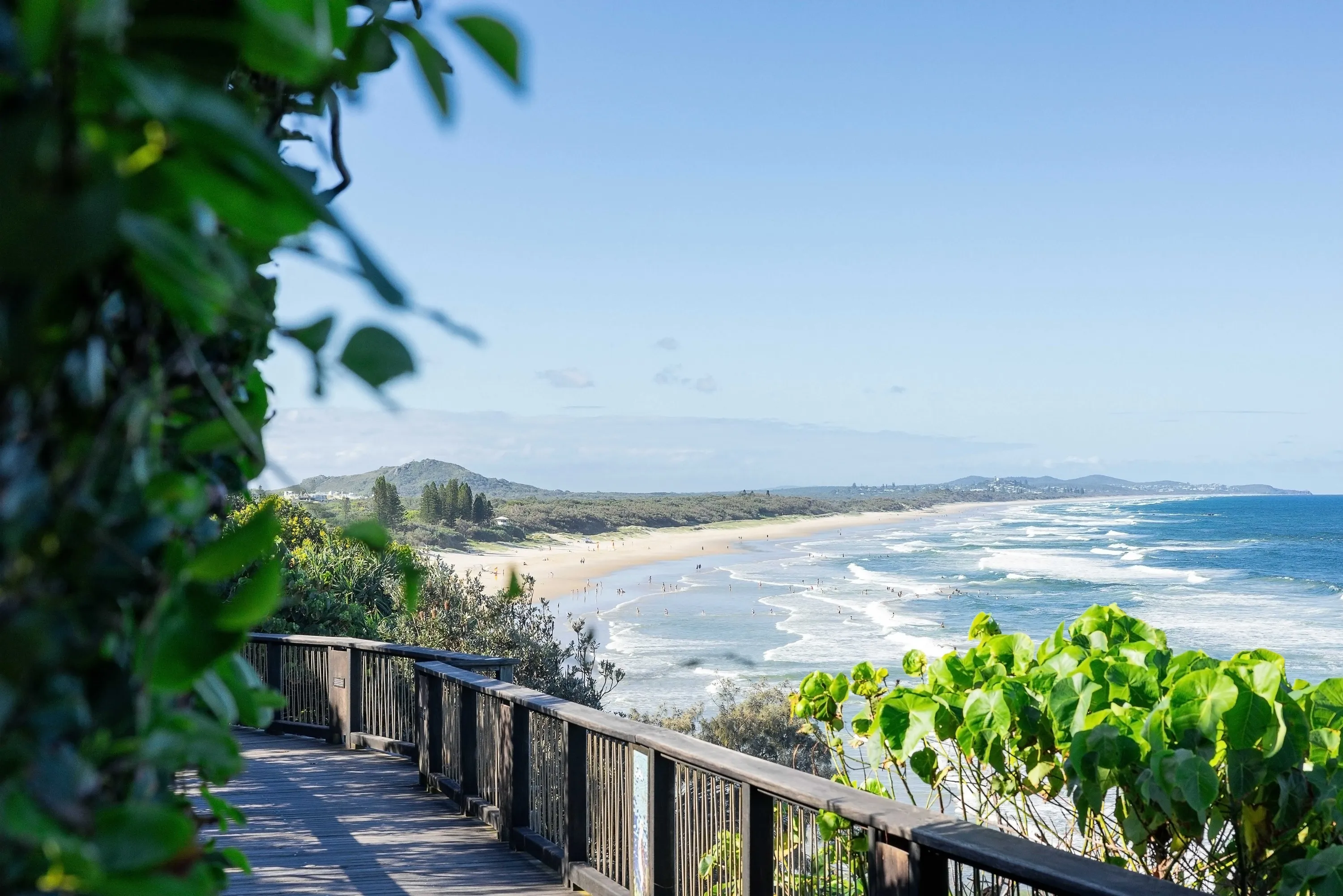 Coastal boardwalk