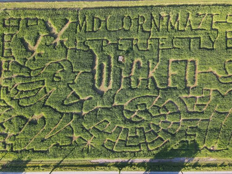 MD Corn Maze | Gambrills, MD
