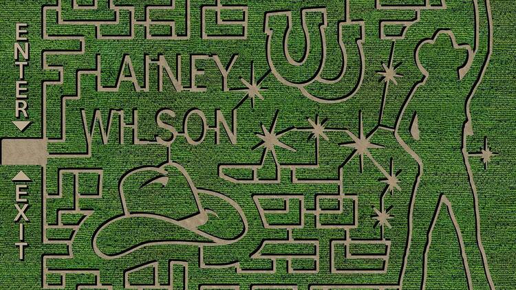 Denver Downs Farm | Anderson, SC