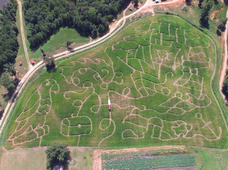 Hall Family Farm | Lancaster, SC