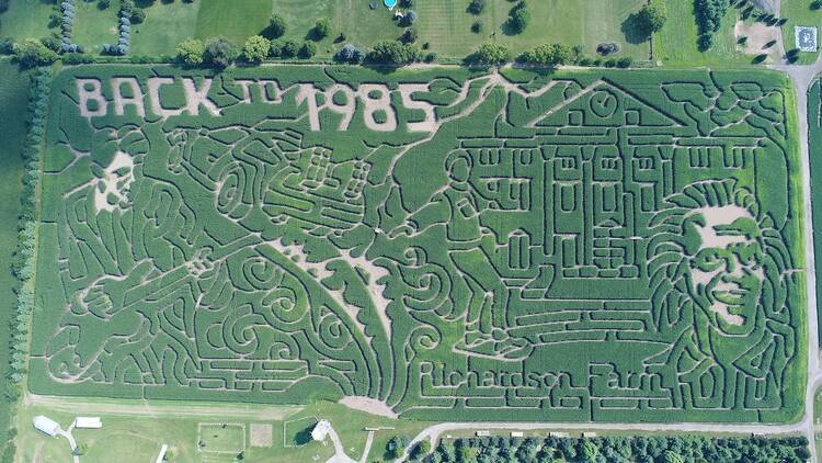 Richardson Adventure Farm | Spring Grove, IL