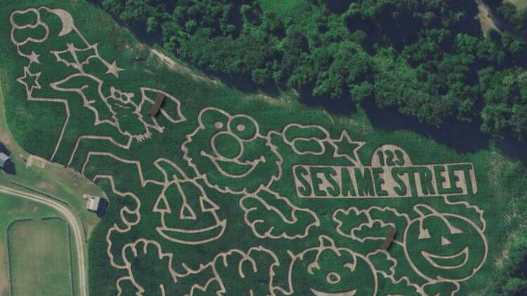 Liberty Ridge Farm | Schaghticoke, NY