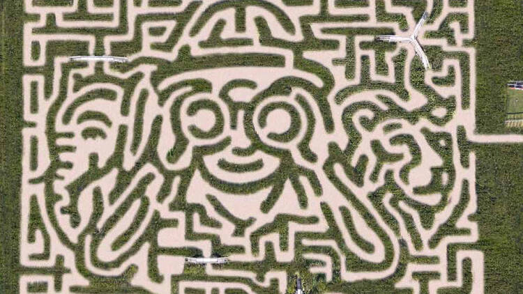 Davis Mega Maze | Sterling, MA