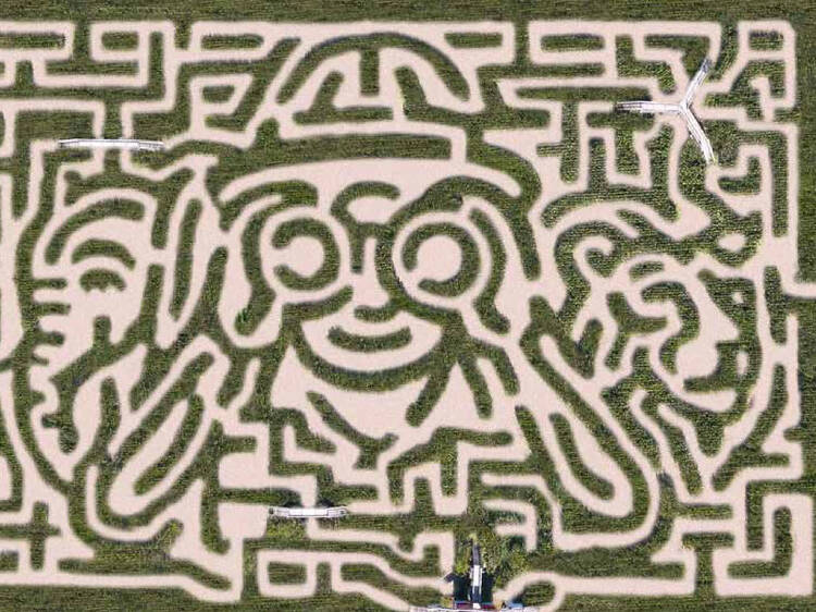 Davis Mega Maze | Sterling, MA
